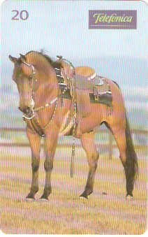 SP-0201M - Árabe é Versatilidade